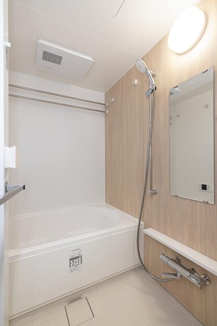 スカイグランデ津田沼（1010） 部屋画像