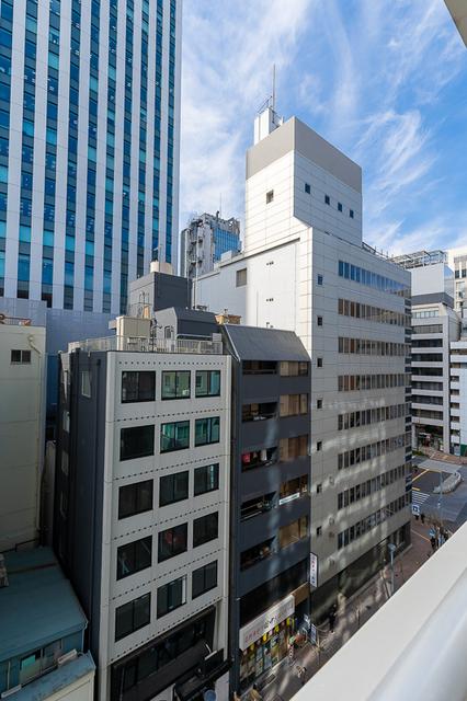ミレアコート銀座プレミア（704） 眺望
