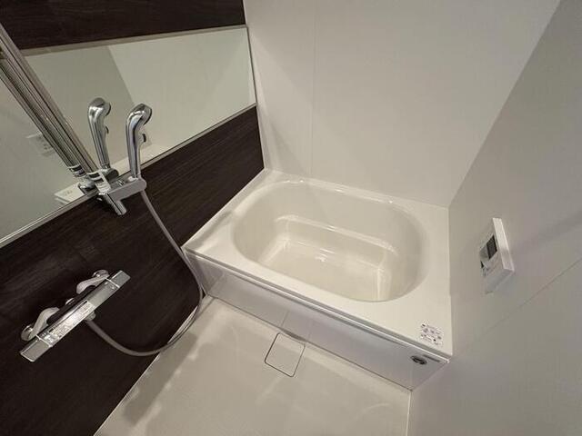 セレスティア扇Ⅶ（101） 部屋画像