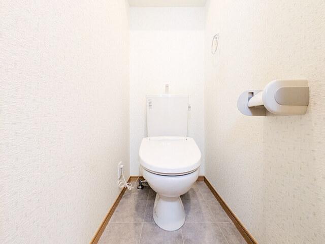 アインス水元（203） トイレ