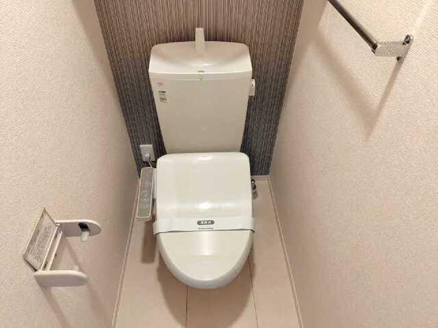 メゾン・ラ・セーヌ（101） トイレ