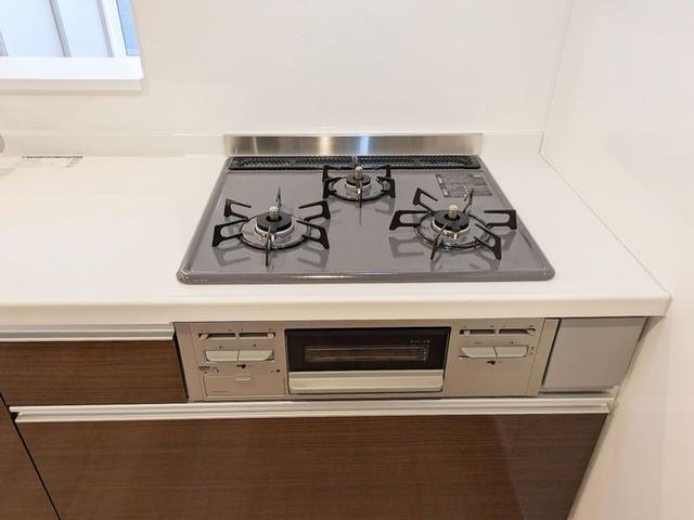 セレスティア京島（301） 部屋画像