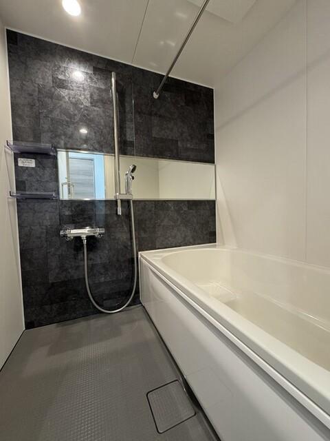 セレスティア細田A（302） 部屋画像