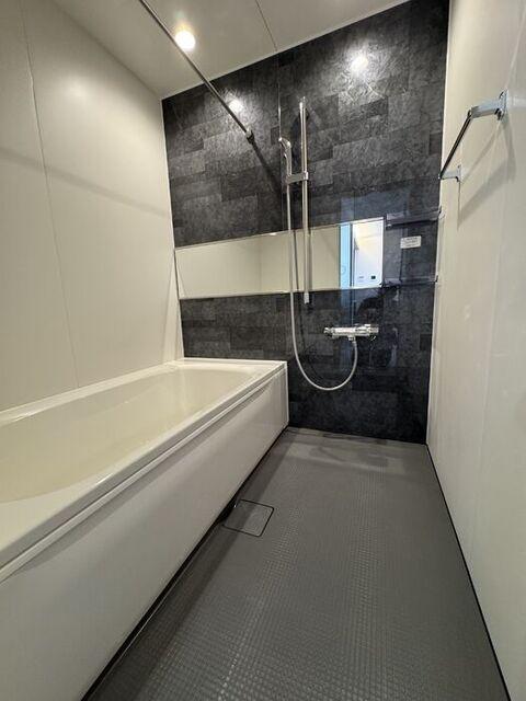 セレスティア細田B（102） 部屋画像