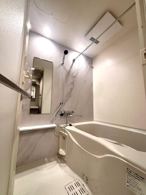ザ・ライオンズフォーシア蒲田（1001） 部屋画像