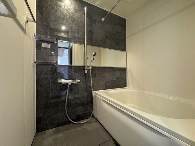 セレスティア細田B（303） 部屋画像