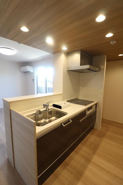 D-ROOM 分梅（301） キッチン