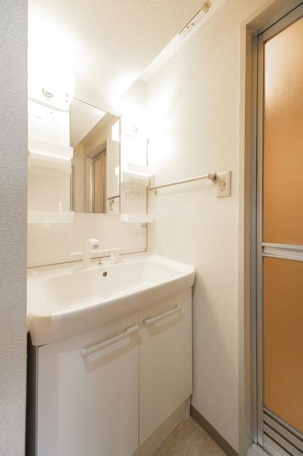 メイプルヒルズ滝野川（401） 部屋画像