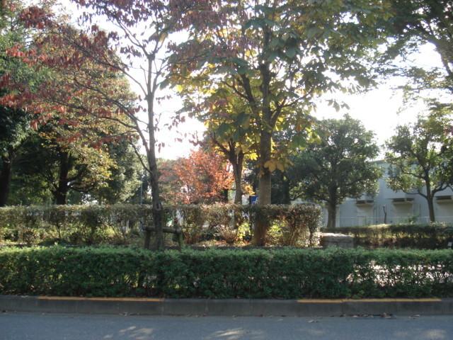 仲田公園：655m