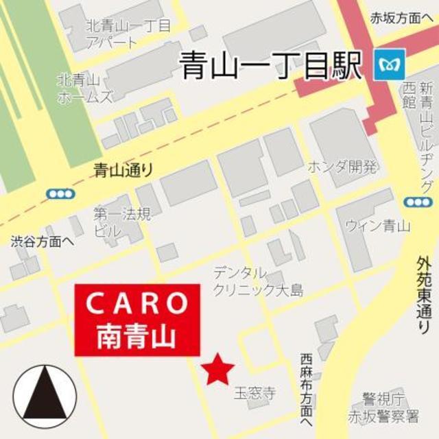 ＣＡＲＯ南青山（304） 地形図・案内図