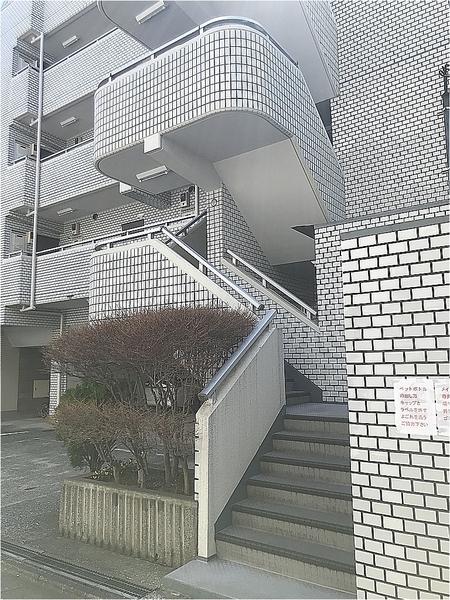 メイプル森戸Ⅱ 物件画像