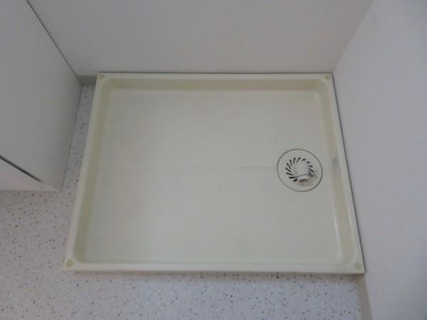 ウィステリア春日部（305） 部屋画像