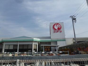 コメリ野田市なみき店：450m