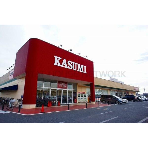 カスミフードスクエア大袋店:800m