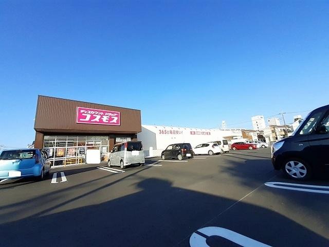 コスモス：300m