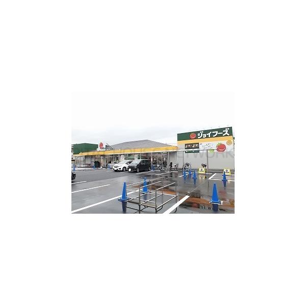 ジョイフーズ:350m