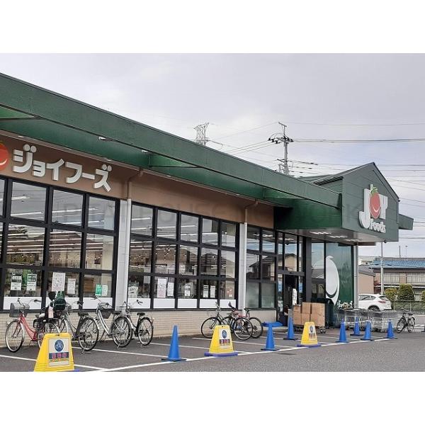 ジョイフーズ杉戸高野台店:500m