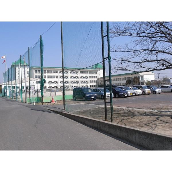 春日部市立備後小学校:524m