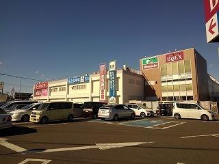 ベルクス：500m