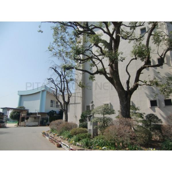 春日部市立八木崎小学校