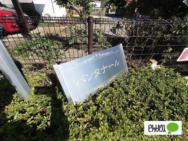 パンタナール（105） その他