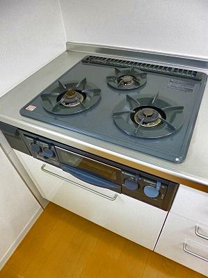 シャーメゾンラフィーネ一番館（101） 部屋画像