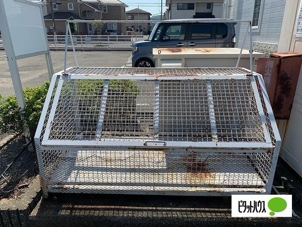 ニューシティー鳴門3号館（203） 物件画像