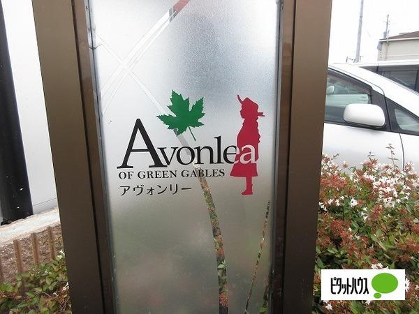 アヴォンリー　Ⅰ（101） その他