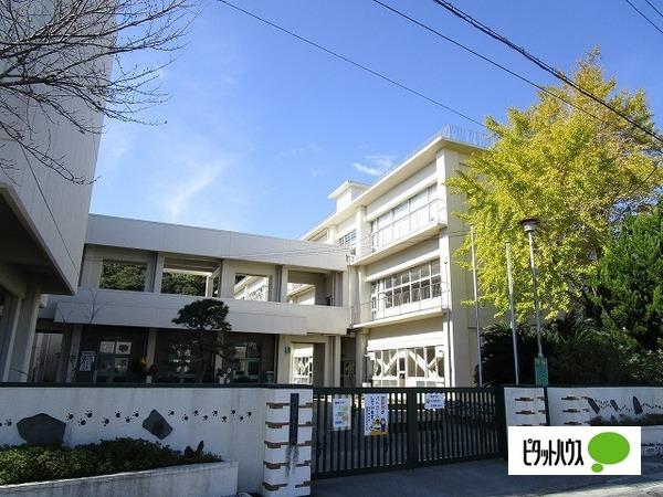 鳴門市立撫養小学校：1073m
