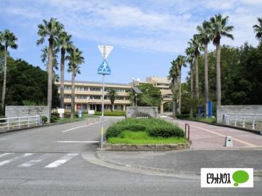 鳴門教育大学附属図書館：1700m