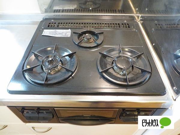 レオパレスカーサ鳴門（101） 部屋画像