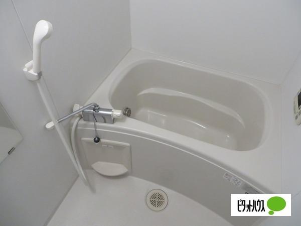 レオパレスカーサ鳴門（101） 部屋画像
