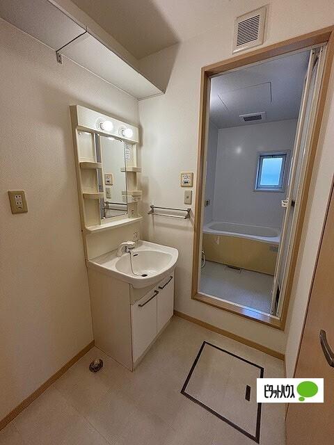 シャーメゾン藍住D（110） 洗面