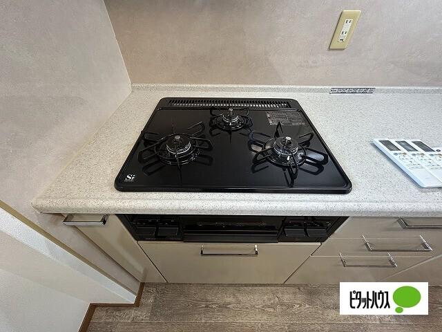 メゾンロワイヤル（109） 部屋画像