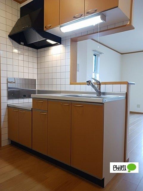 ルミナス藍住A（101） キッチン