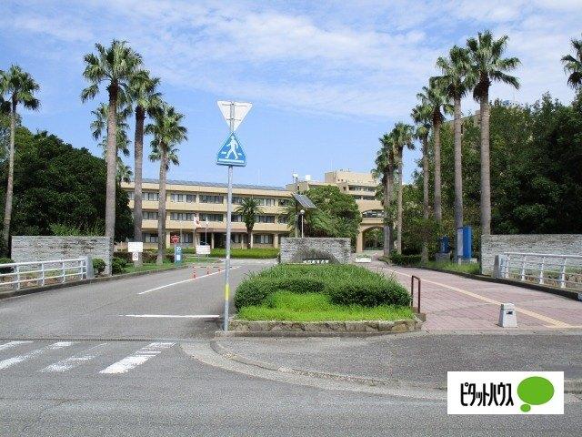 鳴門教育大学附属図書館：837m
