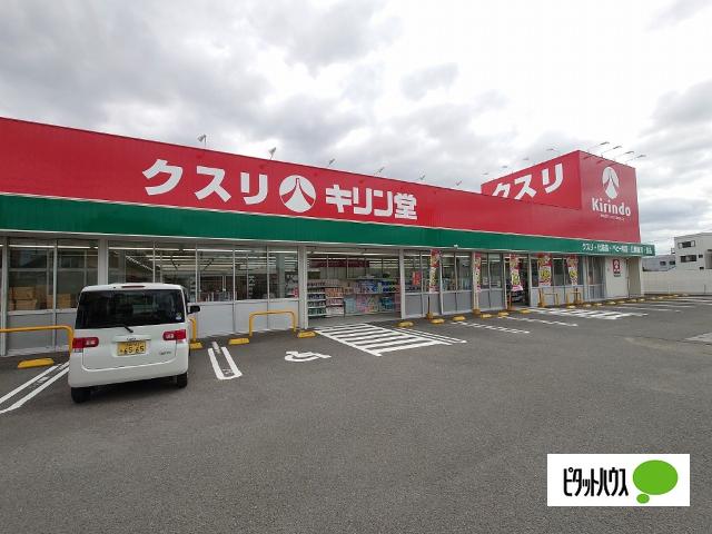 キリン堂藍住徳命店：1255m