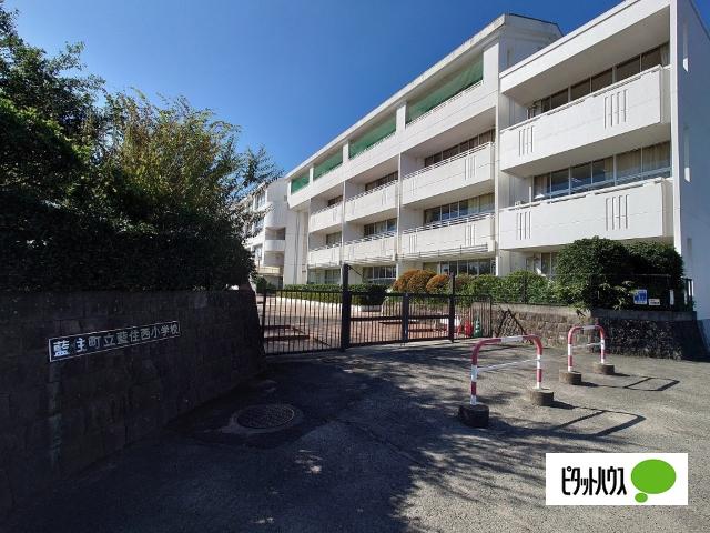 藍住町立藍住西小学校：1226m