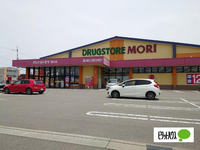 ドラッグストアモリ藍住店：400m