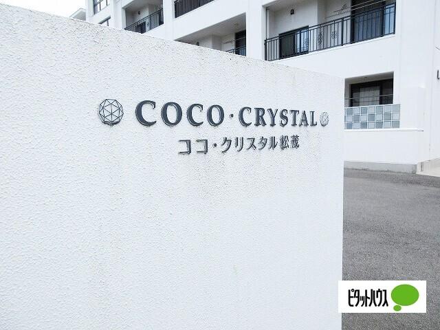 ココクリスタル松茂（203） その他