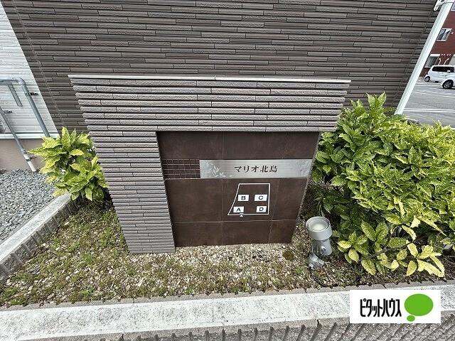 マリオ北島D（306） その他