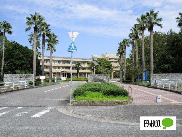 国立鳴門教育大学：3581m