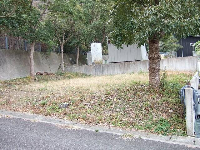 土地1