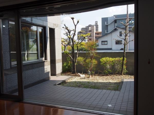 主税庵（0202） 庭