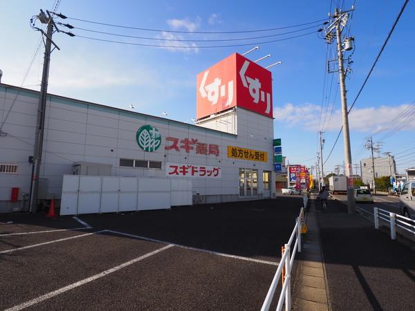 スギ薬局篠木店：345m