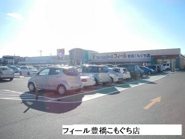 フィール豊橋こもぐち店：450m