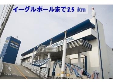 イーグルボール：2500m