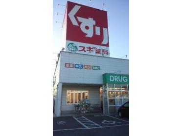 スギ薬局東岩田店：1178m