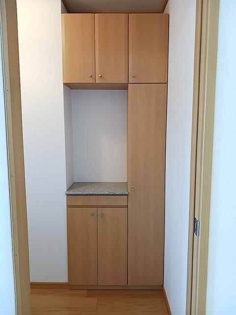 ラフィーネＳ（103） その他部屋・スペース