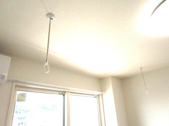 Glicina（202） その他